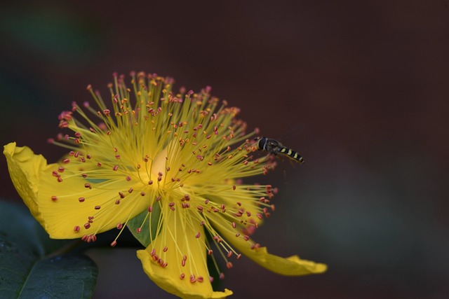 Aaron Troschke Vermögen, Größe, Bio, Karriere