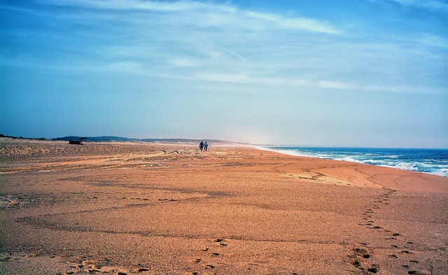 Andrew Tate Vermögen