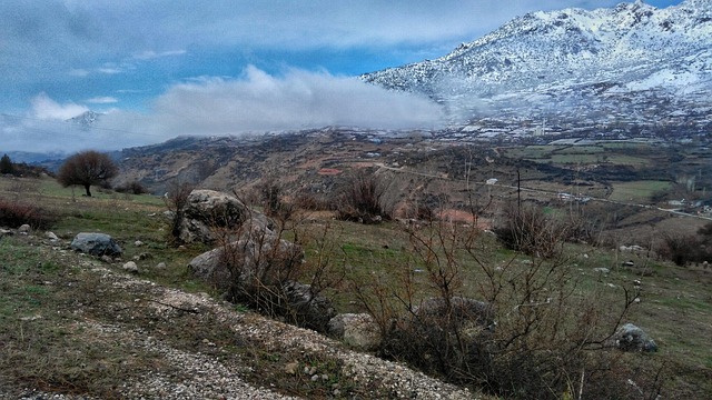 Beyonce Knowles Vermögen