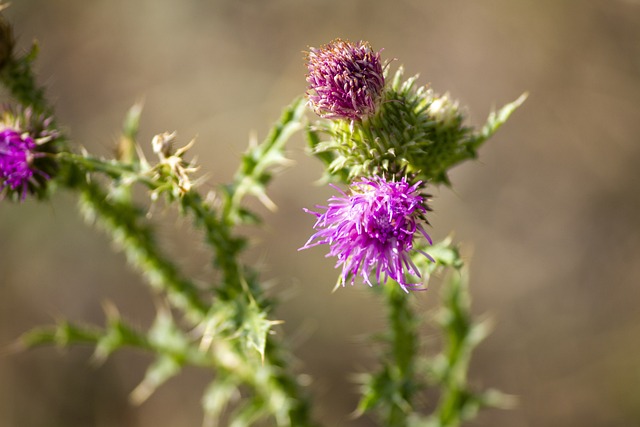 Britney Spears Vermögen