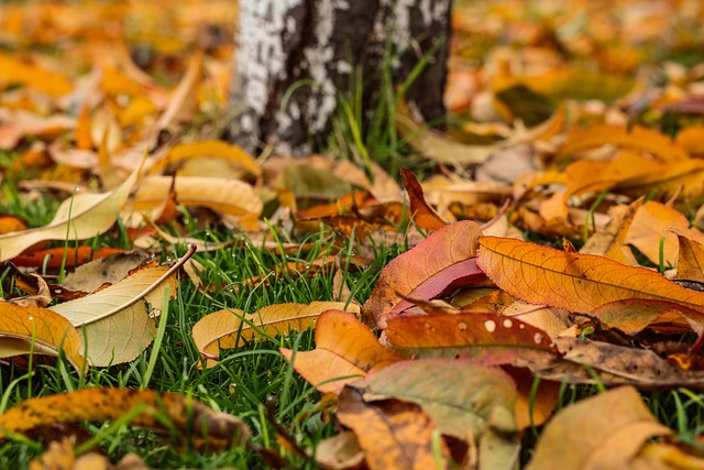 Bryan Cranston Vermögen