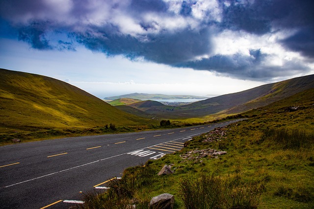 Conor McGregor Vermögen