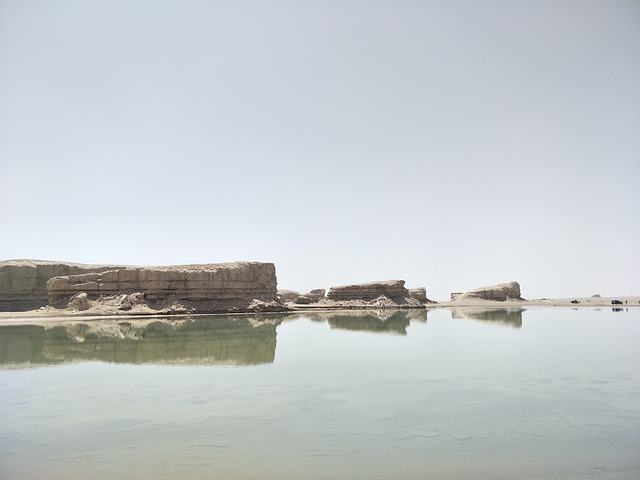 Dan Bilzerian Vermögen