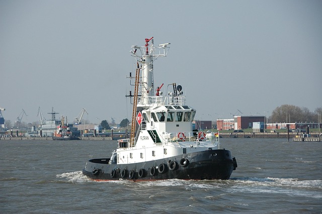 Florian Silbereisen Vermögen, Alter, Biografie