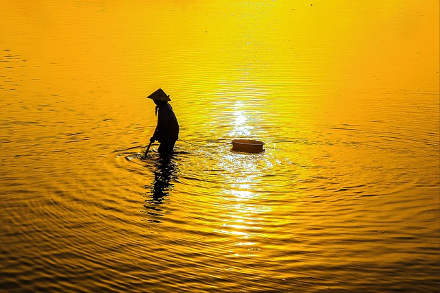 Helene Fischer Vermögen