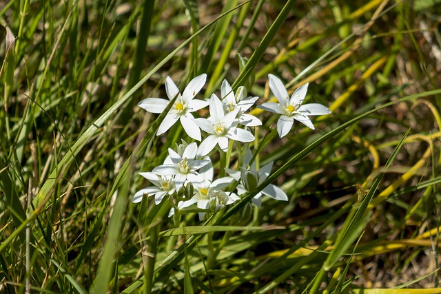 Justin Timberlake Vermögen