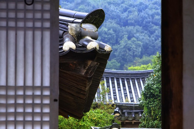 Kim Dotcom Vermögen