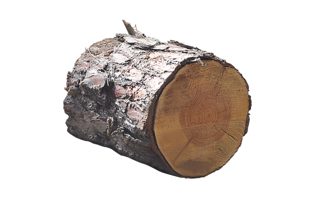 Lisa und Lena Vermögen und Einkommen