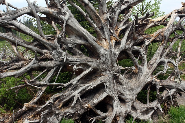 Lothar Matthäus Vermögen, Ehefrau, Rauchen