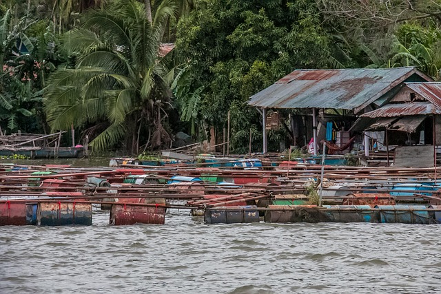 Nicolas Cage Vermögen