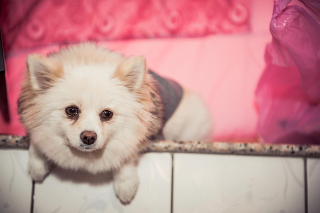 Niki Lauda und sein Vermögen