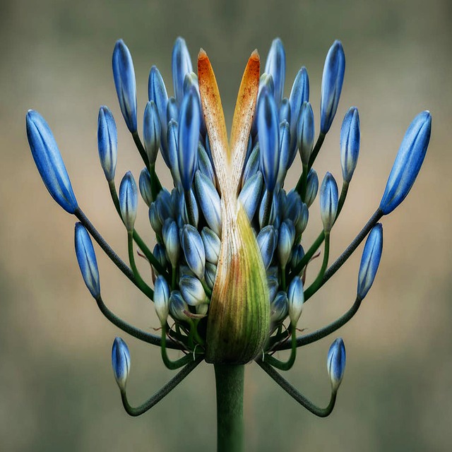 Nils Glagau Vermögen