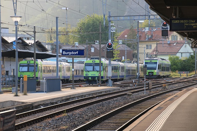 Nina Chuba Vermögen, Alter, Biografie
