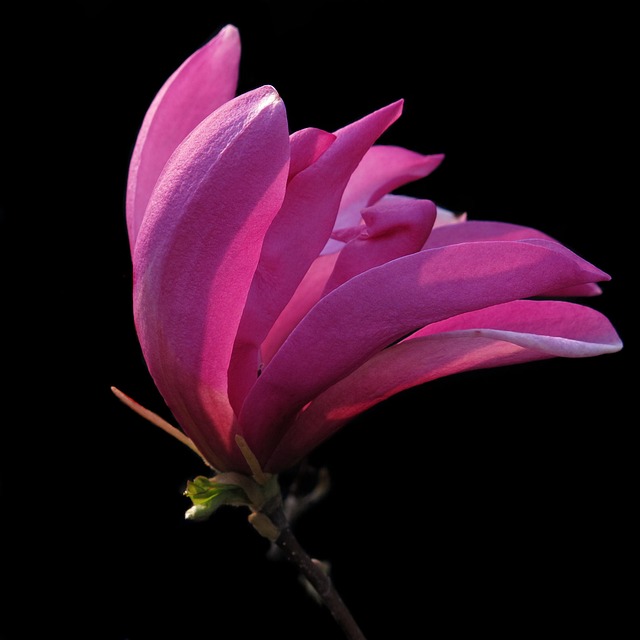 Susanne Klatten Vermögen