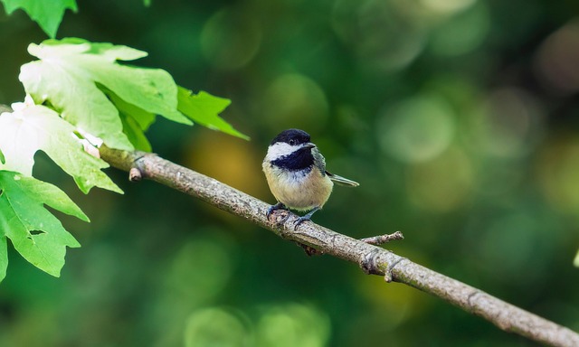 Sylvie Meis Vermögen und Einkommen