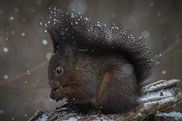 Verona Pooth Vermögen
